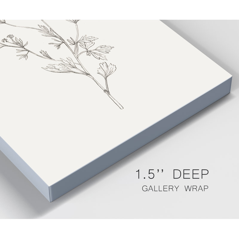Reproduction d’art sur toile tendue « Wild feuillage sketch III », H 48 po x l 32 po x P 1 po