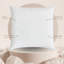 Insert de coussin en duvet d'oie-100333005-100333002