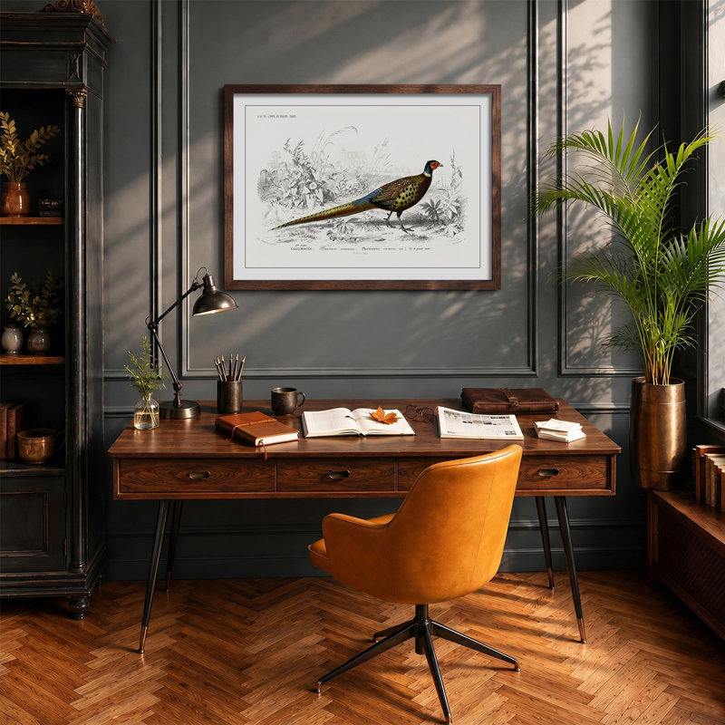 Pheasant Illustration by Charles D' Orbigny - Framed Print, 27cm H x 36cm W x 2cm D, Walnut Framed