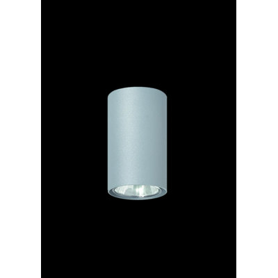 Sachin Flush Mount
