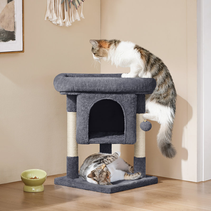 Arbre à chat à deux niveaux avec condo 23,5 po Brympton, Gris foncé