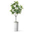 Arbre artificiel en fauve gris avec aquarelle abstraite pot de magnolia-104347717