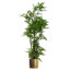 150cm Faux Moss Tree in Metal Planter-1516446486