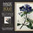 AntiqueFloralFolioIV Framed Print - Solid Wood