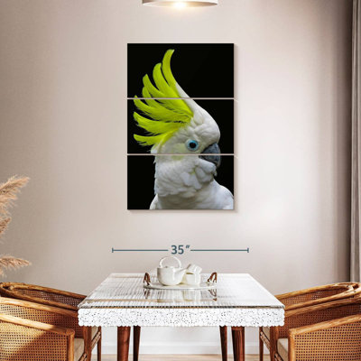 Brampt Yellow Crested Cockatoo