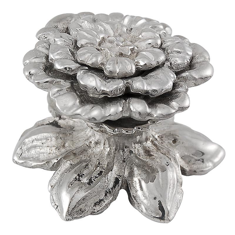 Carlotta Novelty Knob, Polished Silver