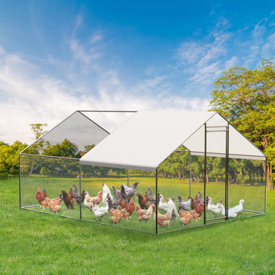12m² Chicken Coop