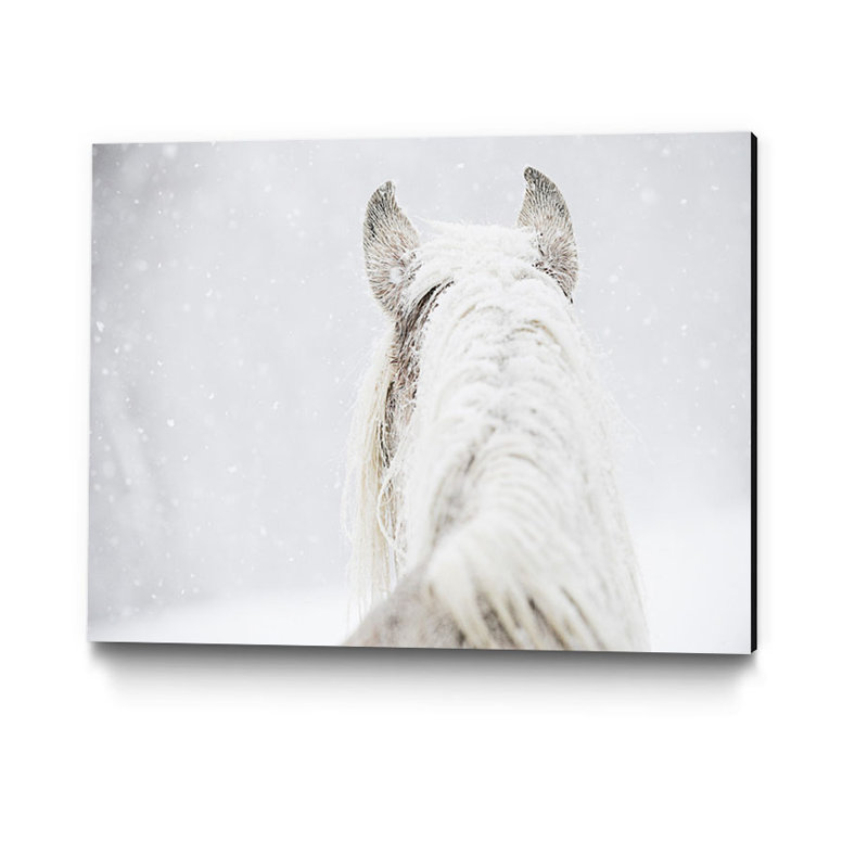 « winter dreaming », reproduction de photo sur toile, H 16 po x l 20 po x P 2 po