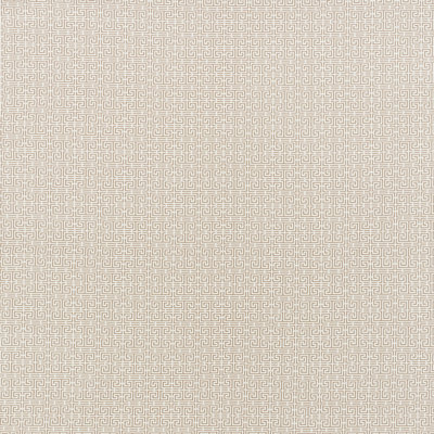 Chinois Fret Fabric