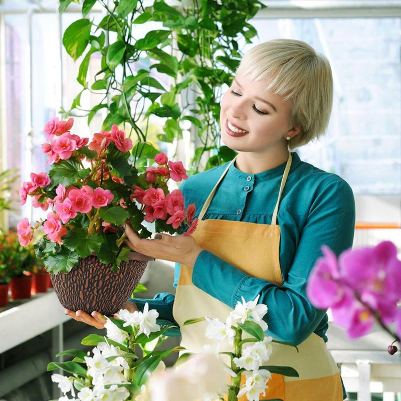 Paquet de 4 pots de plantes de 8 pouces pour les petits pots de fleurs ...