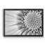Quiet Burst II - reproduction de cadre photo-1116292108-1116292106
