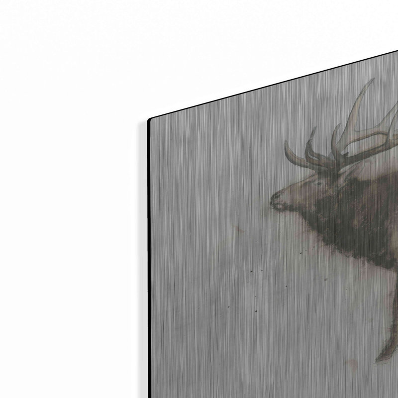 "Elk" par James Wiens, H 16 po x l 24 po