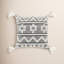 Coussin Reni-1491798228-1491923941