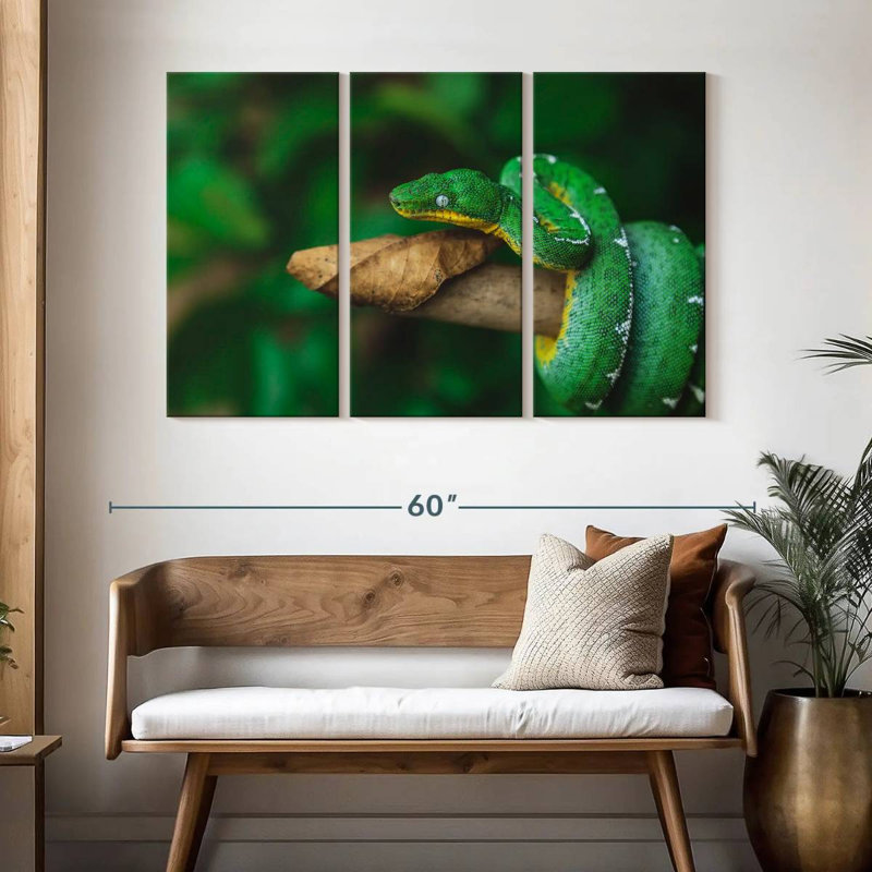 Emerald Tree Snake, 32" H x 50" W