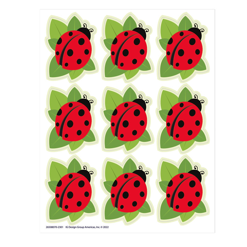Accessoire éducatif de coccinelles