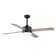 Avamaria 52'' Ceiling Fan with LED Lights