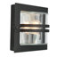 Parrott Outdoor Bulkhead Light-9891386-28213477