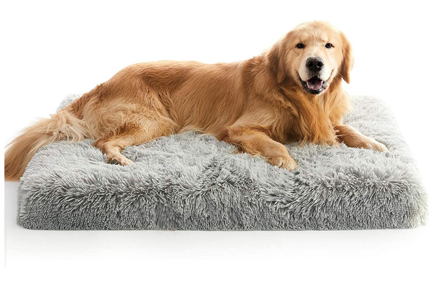 Tucker Murphy Pet™ Orthopedic Dog Bed For Large Dogs With Plush