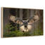 Hibou volant-1807793350-1807793347