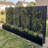 Outdoor Metal Planter Box Raised Garden Beds with Trellis-948878096-958284982