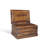 Josiah 1 Piece Solid Wood Accent Trunk