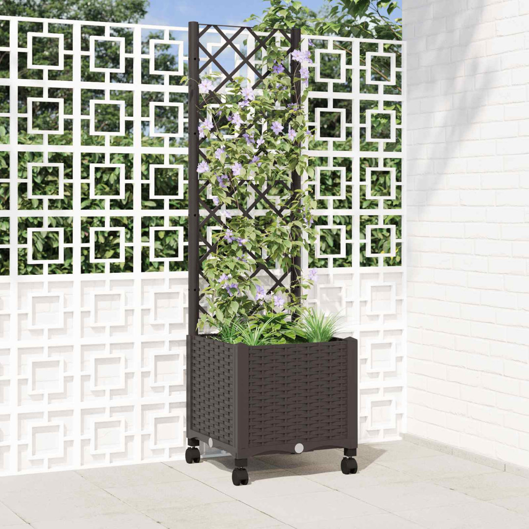 Planter Box