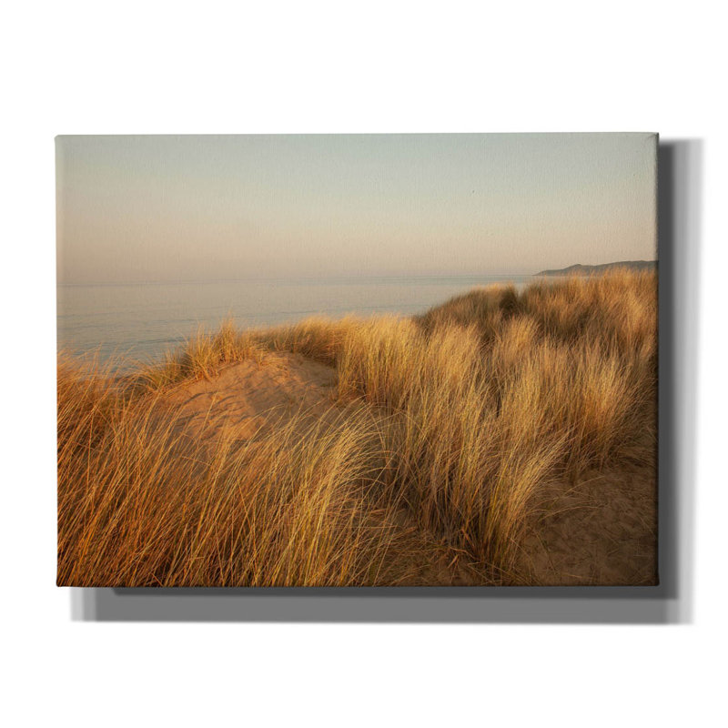 «Dunes With Seagulls 7» par Ian Winistanley, art mural sur toile, H 12 po x l 16 po x P 0,75 po