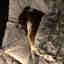 Photos des clients 1 de 1
