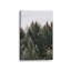 Impression sur toile Hush Evergreen III-1473773415-1473773411