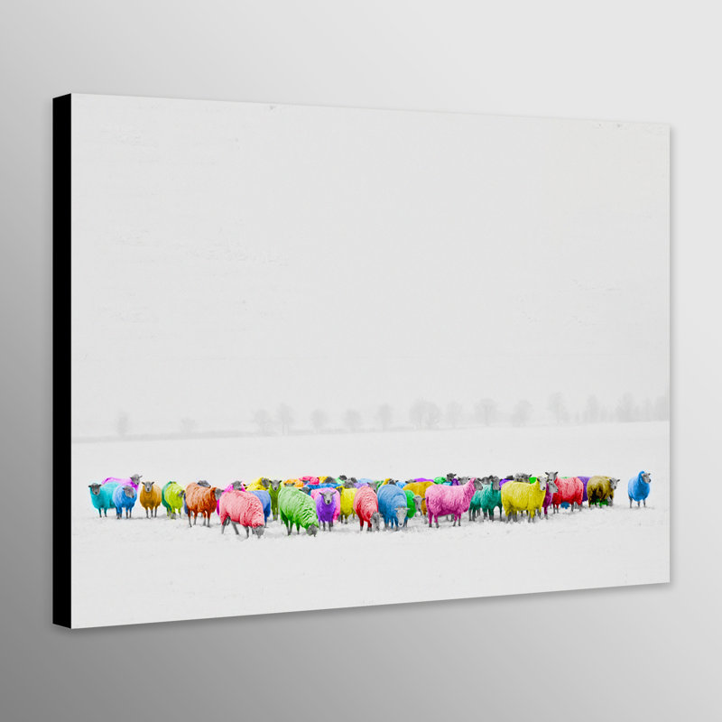 Multicoloured Sheep - Wrapped Canvas Print, 41cm W x 31cm H