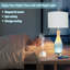 Lampe de table Christchurch