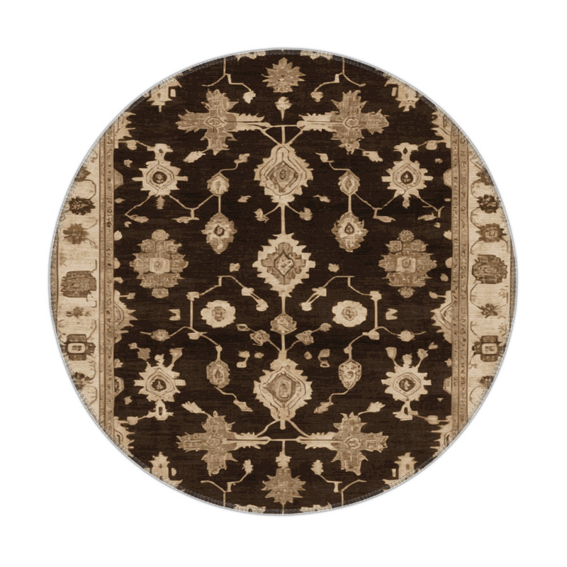Tapis intérieur et extérieur brun Overdyed, Rond 5 pi
