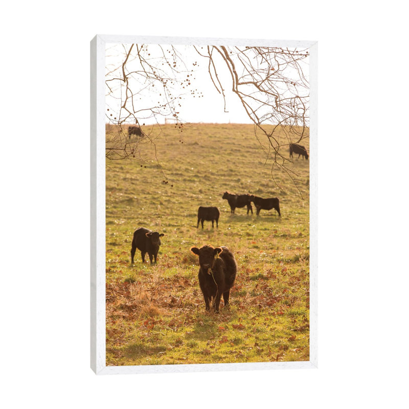 Fall Field II by Aledanda - Print on Canvas, 101.6cm H x 66.04cm W x 3.81cm D, White Framed