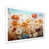 White Single Picture Framed