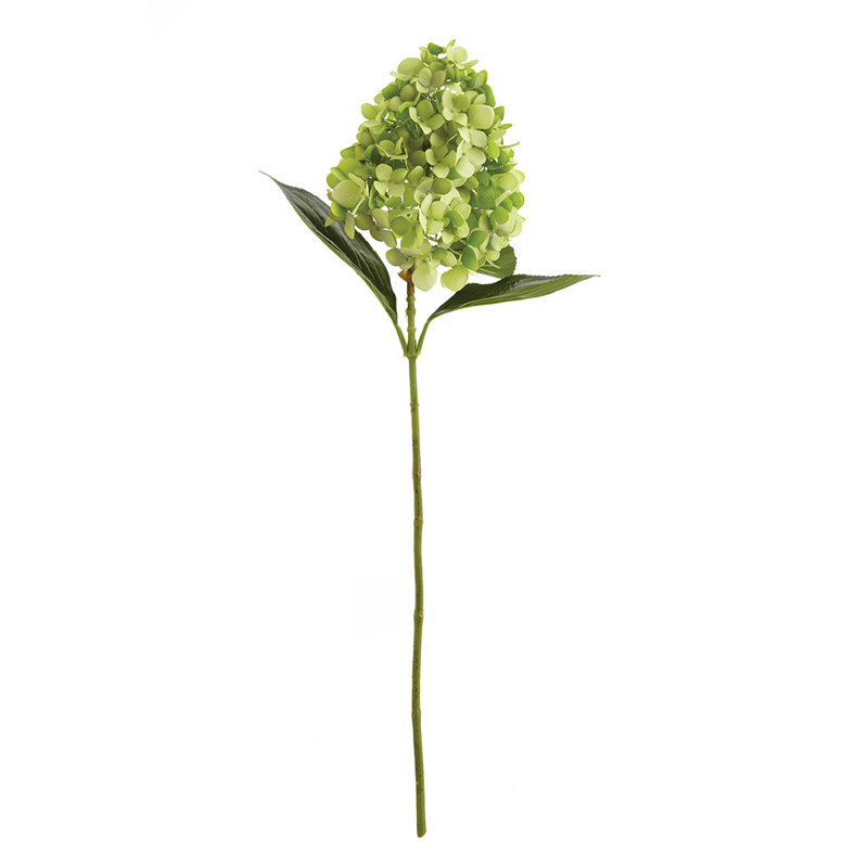 28-Inch Cone Hydrangea Stem, Green