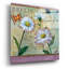  «Bellis Botanica» par Fiona Stokes-Gilbert, art mural en verre acrylique, 36 po x 36 po-1155402968