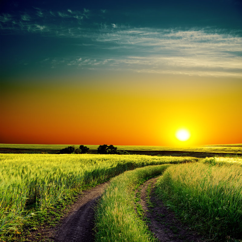 Sunset And Road To Horizon In Green Field by Mycola - Wrapped Canvas Print, 30cm H x 46cm W x 3.8cm D