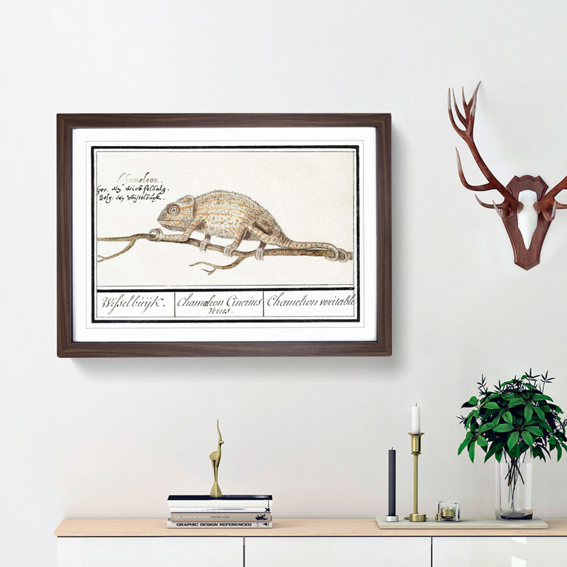 Chameleon by A.B. De Boodt - Picture Frame Painting Print, Walnut Framed, 36cm H x 48cm W x 2cm D