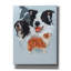 "Boarder Collie" par Barbara Keith-206294612