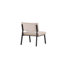 Ammon Velvet Side Chair