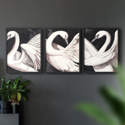 Aviary Study  Series  CXIII  -Set Of 3 Framed Giclee Prints -Ready to Hang