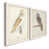 Toile avec cadre blanc