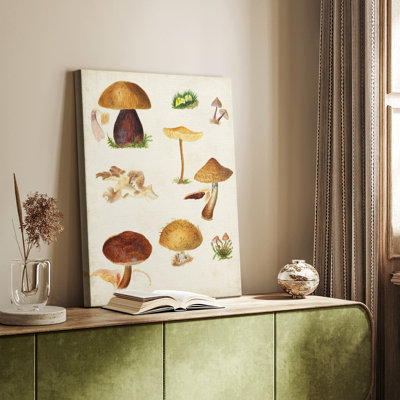 Mushroom Species II -Custom Wrapped Gallery Cavas