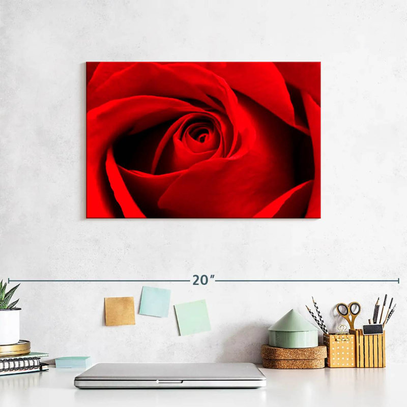 Harnek, gros plan d'une rose rouge, H 8 po x l 12 po
