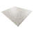 Juliana Silver Rug