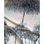 Duguay Velvet Blackout Curtain Panel Pair-2115589967