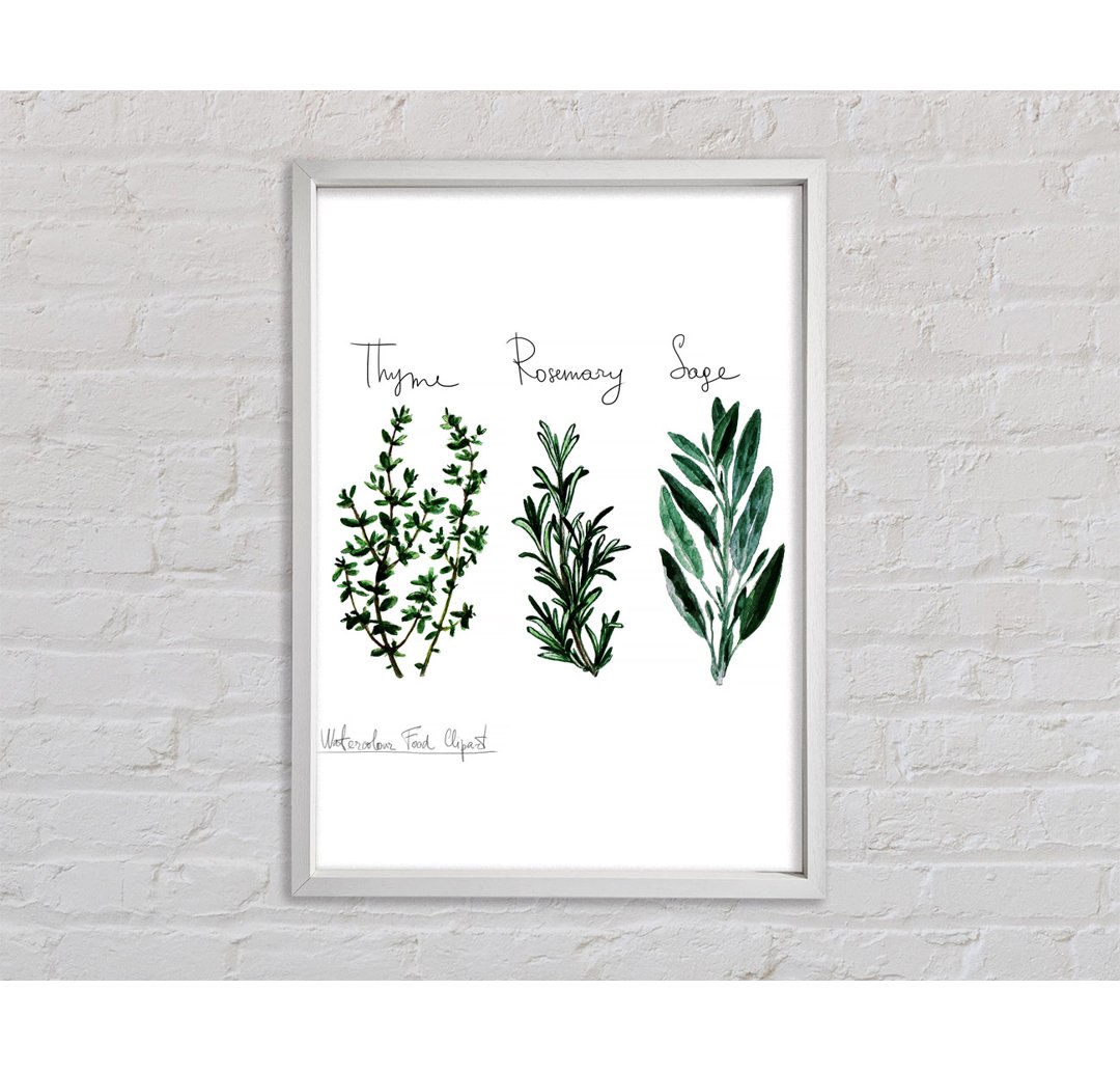 Herb Selection 3 - Einzelne Bilderrahmen Kunstdrucke auf Leinwand