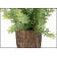 Ensemble de 2 brins d'herbe de mûrier artificielle, 30 cm de hauteur, en pots de ciment brun pour une décoration moderne et contemporaine