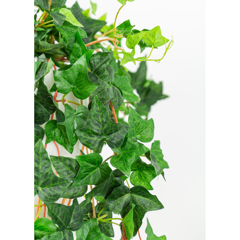 Fausse plante botanique suspendue 64 pouces