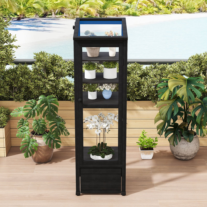 Mini Wood Greenhouse with Adjustable Shelves, Movable Storage Box and Openable Roof, Black